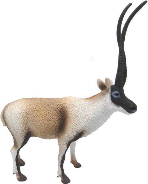 Collecta Animaux Sauvages antilope du Tibet
