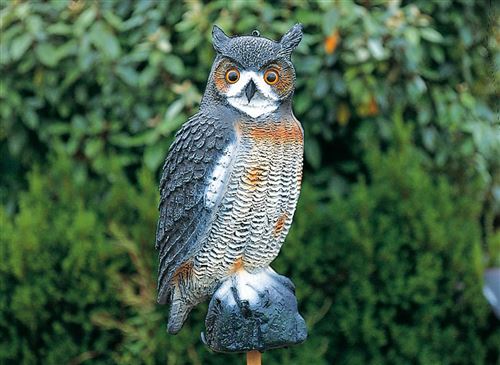 Hibou décoratif de bassin à poser