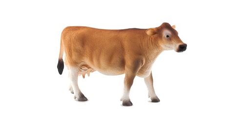 Non Communiqué Animal Planet Bovin Jersey