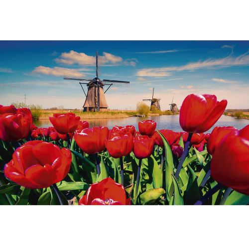 Puzzle 1000 pièces : moulins et tulipes king puzzles