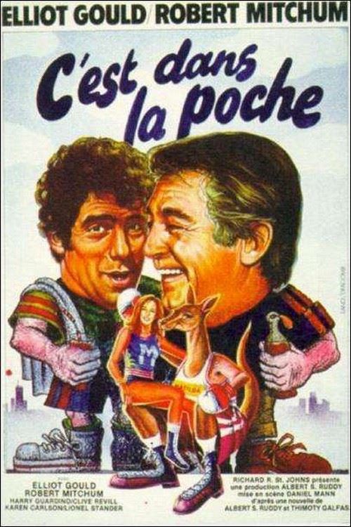 C'est Dans la Poche - 40x60 cm - AFFICHE / POSTER