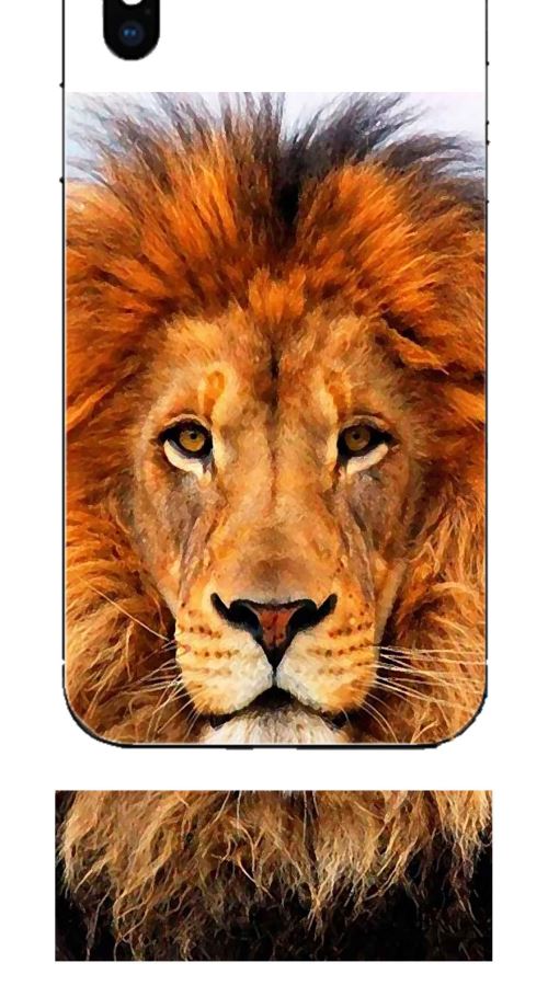 Coque TPU gel souple Apple Iphone X design Lion