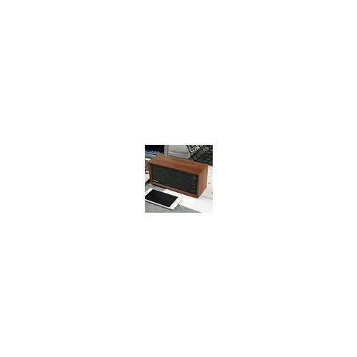 BTS-210 - Haut-parleur - pour utilisation mobile - sans fil - Bluetooth - 10 Watt - gris