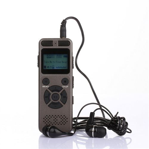 Enregisteur Vocal Digital Dictaphone ZS-300 (Gris)