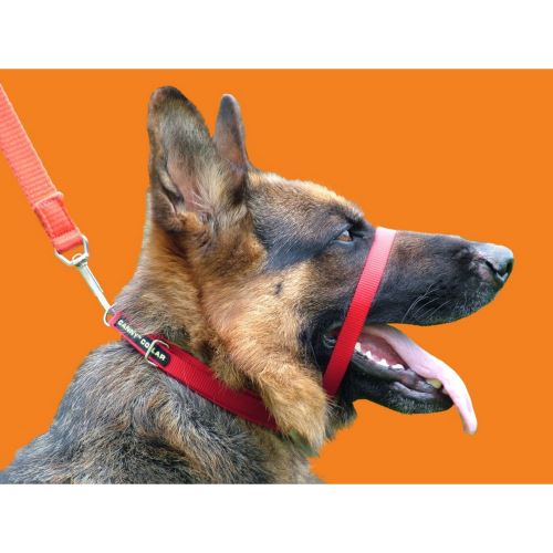 Comparer les prix de Canny - Collier anti-traction - Chien (Taille 2) (Rouge) - UTVP2006