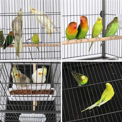 Cage à oiseaux en Metal pour Canaris et Perruches avec Accessoires