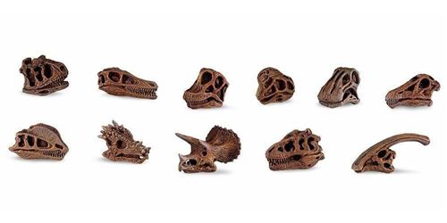 Safari Ltd Dinosaur Skulls TOOB, 11 pieces