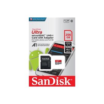 Carte mémoire SanDisk 256 Go MicroSDXC UHS-I micro SD pour Nintendo Switch  256 G