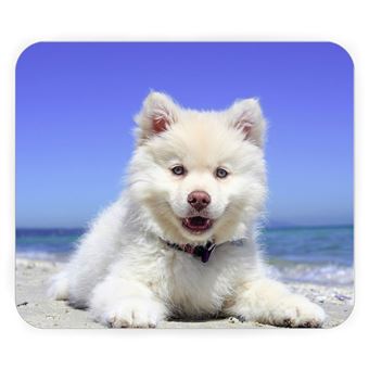 Tapis De Souris Spitz Petit Chien Blanc De Race Chiot Bebe Mignon Plage Tapis De Souris Achat Prix Fnac