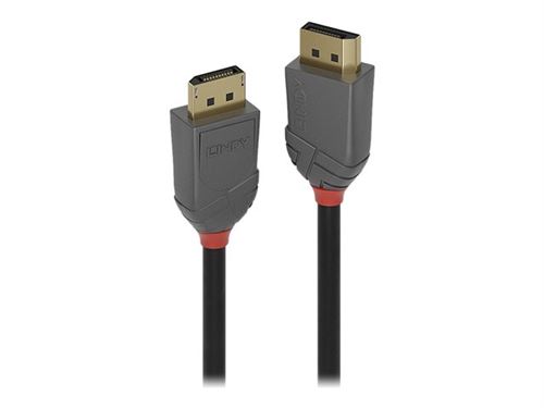 Lindy Anthra Line - DisplayPort kabel - DisplayPort (M) naar DisplayPort (M) - DisplayPort 1.1 - 15 m - rond, 1920 x 1200 (WUXGA)-ondersteuning - zwart