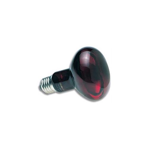 50 W Zoo med lampe spot infrarouge - Lampe chauffante infra-rouge nocturne - Zoo Med - FL-401095