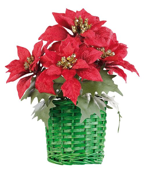 Composition florale de Noël avec poinsettias et panier tissé