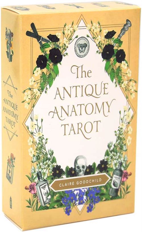 Cartes de Tarot - The Antique Anatomy Tarot