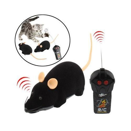 Mini Souris Telecommandee Pour Chat Jouet Electronique Telecommande Incluse Noir Yonis Jouets Et Vetements Pour Chat Achat Prix Fnac Mini Souris Telecommandee Pour Chat Jouet Electronique Telecommande Incluse Noir Yonis Jouets Et Vetements Pour Chat Achat Prix Fnac