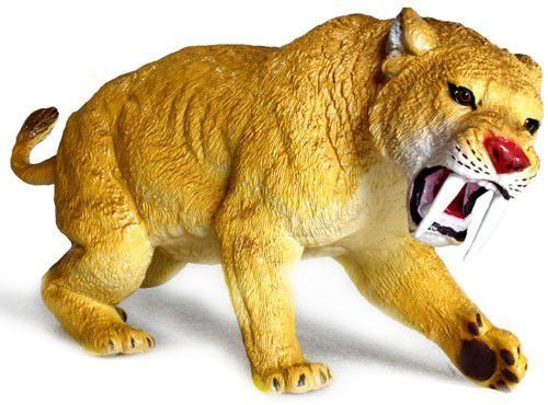 Smilodon préhistorique Tigre à grandes dents de sabre AAA 35000