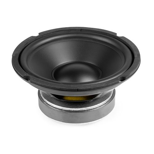 Fenton Wpp20 Haut-Parleur De Graves, Cône 8 Pouces (20 Cm), 200 Watts