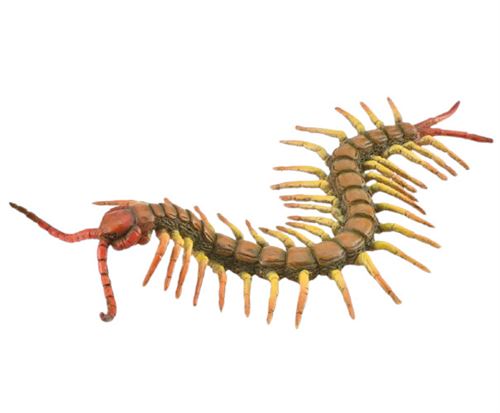 Collecta animal de jeu mille-pattes junior 18 cm ABS marron