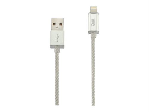 WE - Câble Lightning - Lightning mâle pour USB mâle - 1 m - gris - pour Apple iPad/iPhone/iPod (Lightning)
