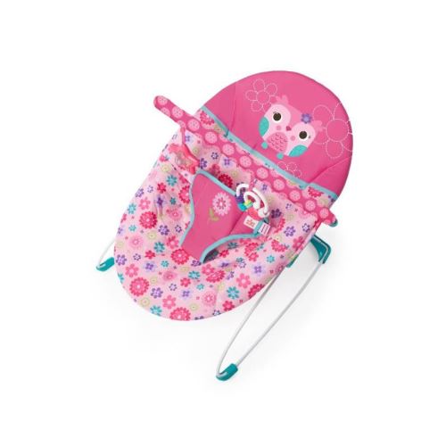 Bright Starts Happy Flowers Vibrant Bouncer