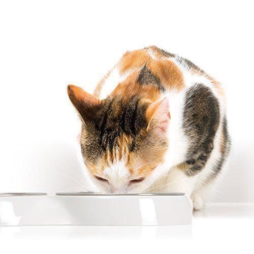 Cat it 43872 - COMMUTATEUR KVM - Catit peu profond double Bol de nourriture, Blanc