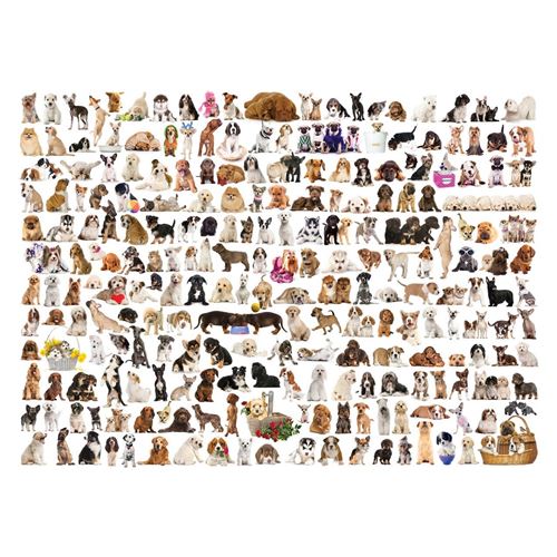 Eurographics The World of Dogs (1000)