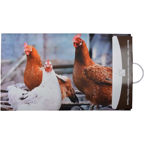 Esschert Design - Paillasson déco en caoutchouc recyclé intérieur extérieur Coq