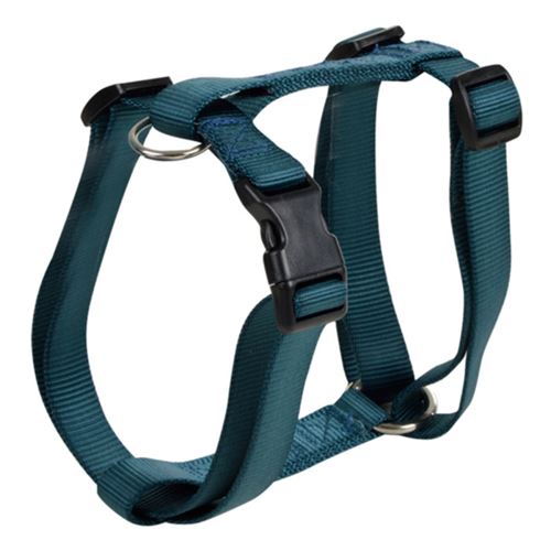 Meilleurs prix pour Harnais pour Chien Essentiel 50cm Émeraude