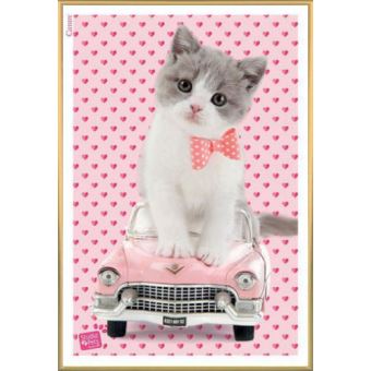 Poster Encadre Chats Chaton Mignon Sur Un Caddy Retro 91x61 Cm Cadre Plastique Or Poster Affiche Encadre Top Prix Fnac