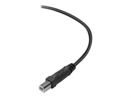 Belkin Premium Printer Cable - câble USB - 3 m