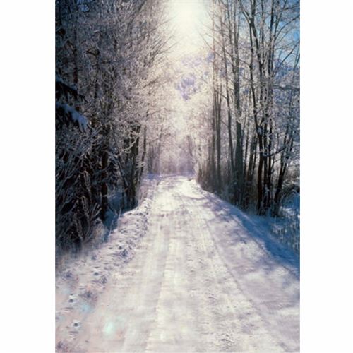 NEUFU 1.5x2.1m Toile de Fond Photographie Forêt en Vinyle Pour Studio