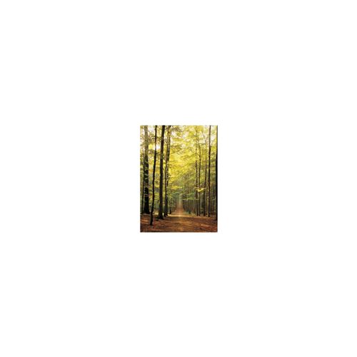 EuroGraphics Forest Path 1000-Piece Puzzle