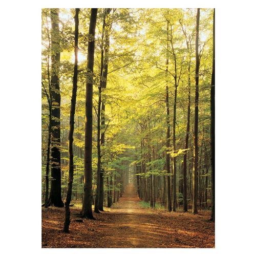 EurographicsPuzzles - Forest Path - puzzle - 1000 pièces