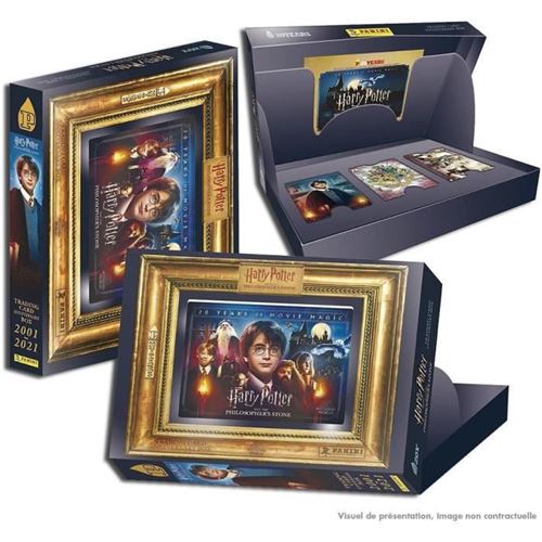 Jeu De Cartes Panini Harry Potter Evolution Trading Cards Boite 18