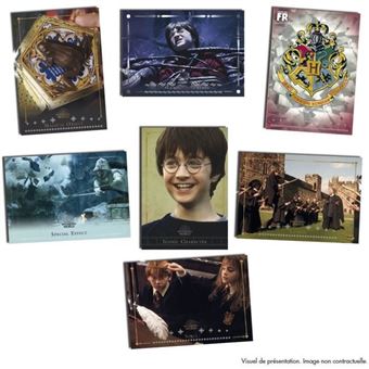 Jeu De Cartes Panini Harry Potter Evolution Trading Cards Boite 18