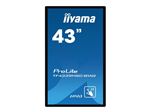 iiyama ProLite TF4339MSC-B1AG - Classe de diagonale 43" (42.5" visualisable) écran LCD rétro-éclairé par LED - signalétique numérique interactive - avec écran tactile (multi-touches) - 1080p 1920 x 1080 - noir mat