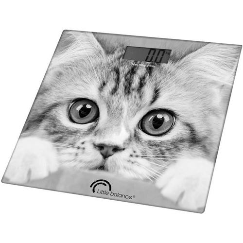 Little Balance - Balance - le chat