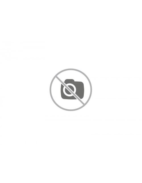Adaptateur cylindre pour échappement Yasuni R1