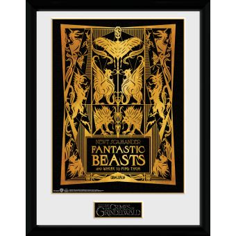 Photographie Encadree Les Animaux Fantastiques Les Crimes De Grindelwald Couverture De Livre Poster Affiche Encadre Top Prix Fnac
