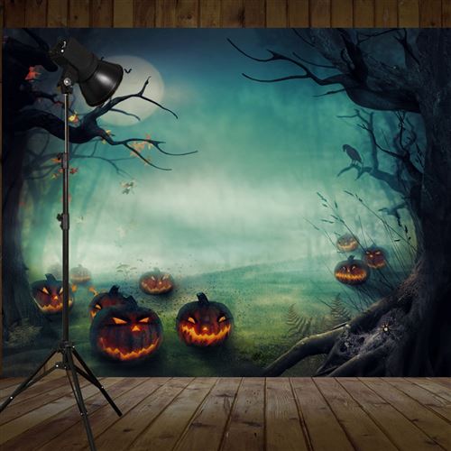 5X7FT Halloween tous les jours de sanctuaire fond de mur de photographie en vinyle