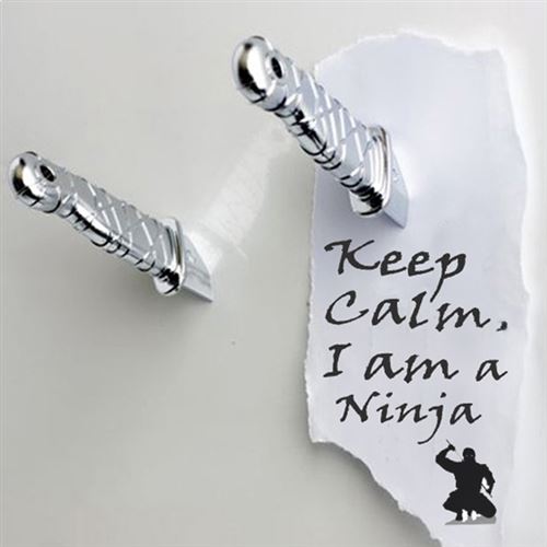 2 couteaux aimant&eacute;s ninja argent objet deco maison design insolite 