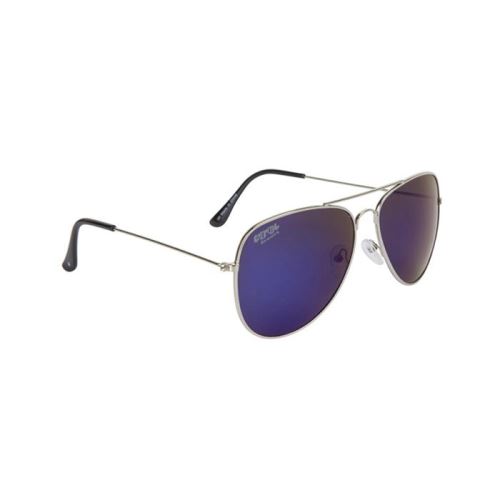 Lunettes de soleil COOL SHOE Iron Silver