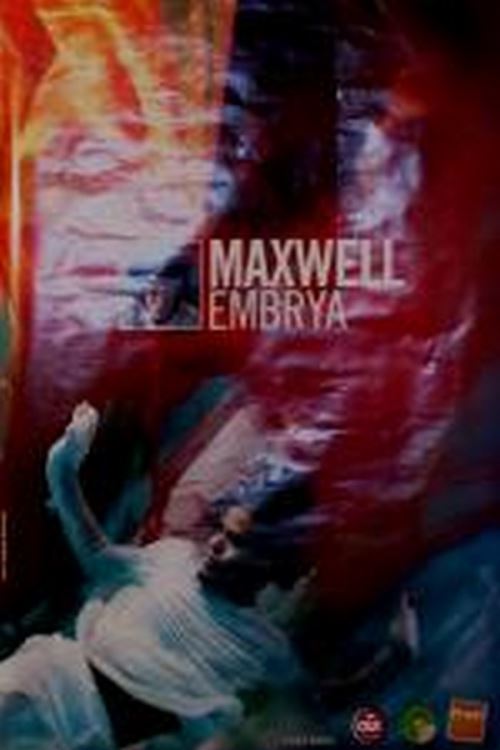Maxwell - 80x120 cm - AFFICHE / POSTER État correct - N/A reconditionné disponible sur Fnac