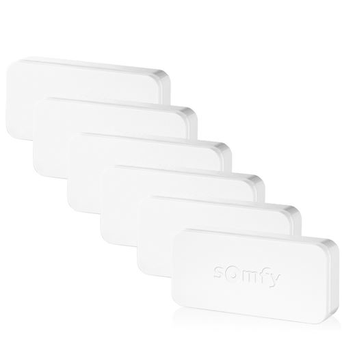 Somfy Pack de 6 IntelliTAG - Détecteurs auto-protégés de vibration pour intérieur ou
