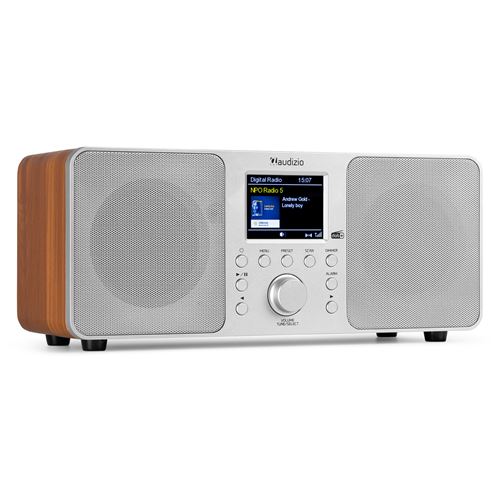 Audizio Genua Radio Dab+ Bluetooth 5.0 - Grise, Écran Couleur 2,8, Deux Haut-Parleurs, Sortie Casque, Port Usb, Télécommande Incluse