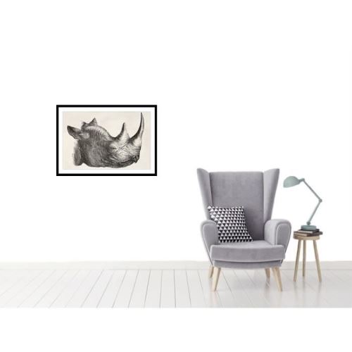 RHINO Affiche encadrée 60x40cm - Rhinocéros noir & blanc