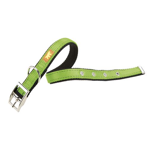 Meilleurs prix pour DUAL CF20/43 COLOURS Collier chien A: 35÷43 cm - B: 20 mm Vert