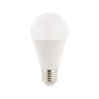 Ampoule LED E27 classe A+ - 15 W - 1