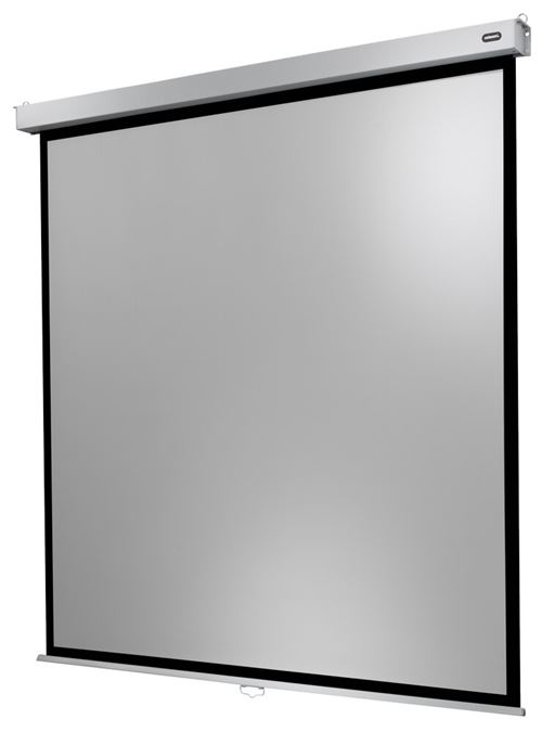 Ecran de projection celexon Manuel PRO PLUS 200 x 200 cm