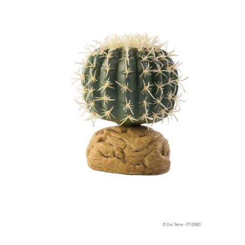exo terra décoration cactus oursin - petit modele - pour les reptiles et les amphibiens