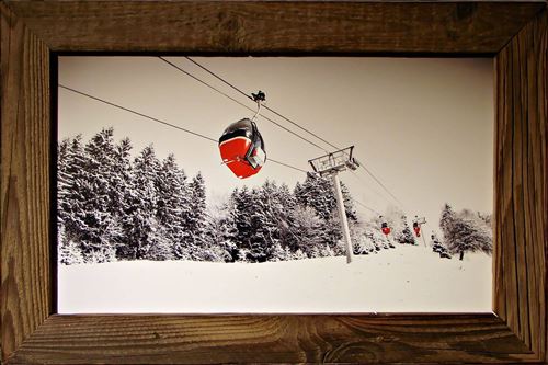 Tableau Deco Chalet en Vieux Bois-Oeuf Rouge-75x50 cm